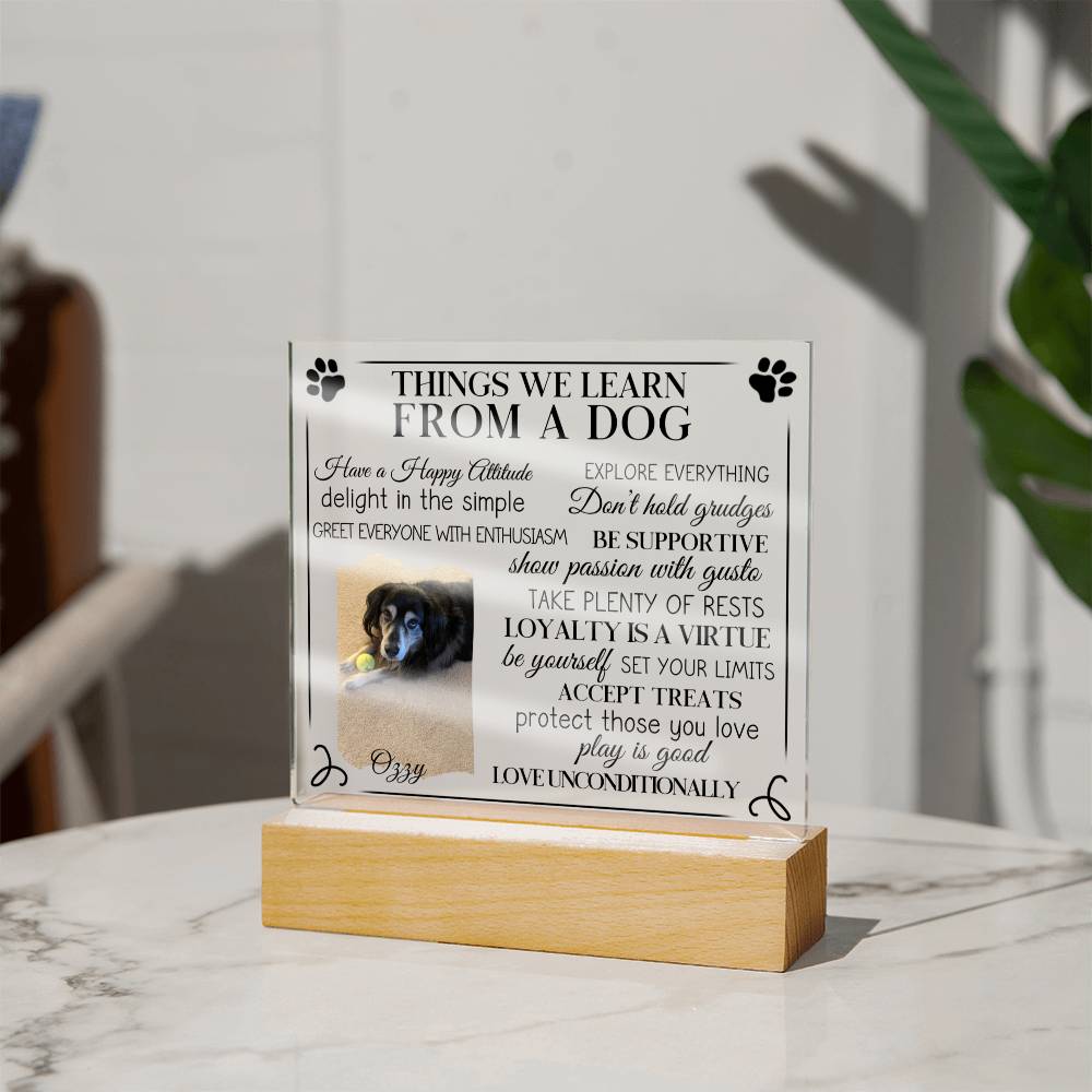 Things We Learn From A Dog - Personalized Photo Pet LED Plaque