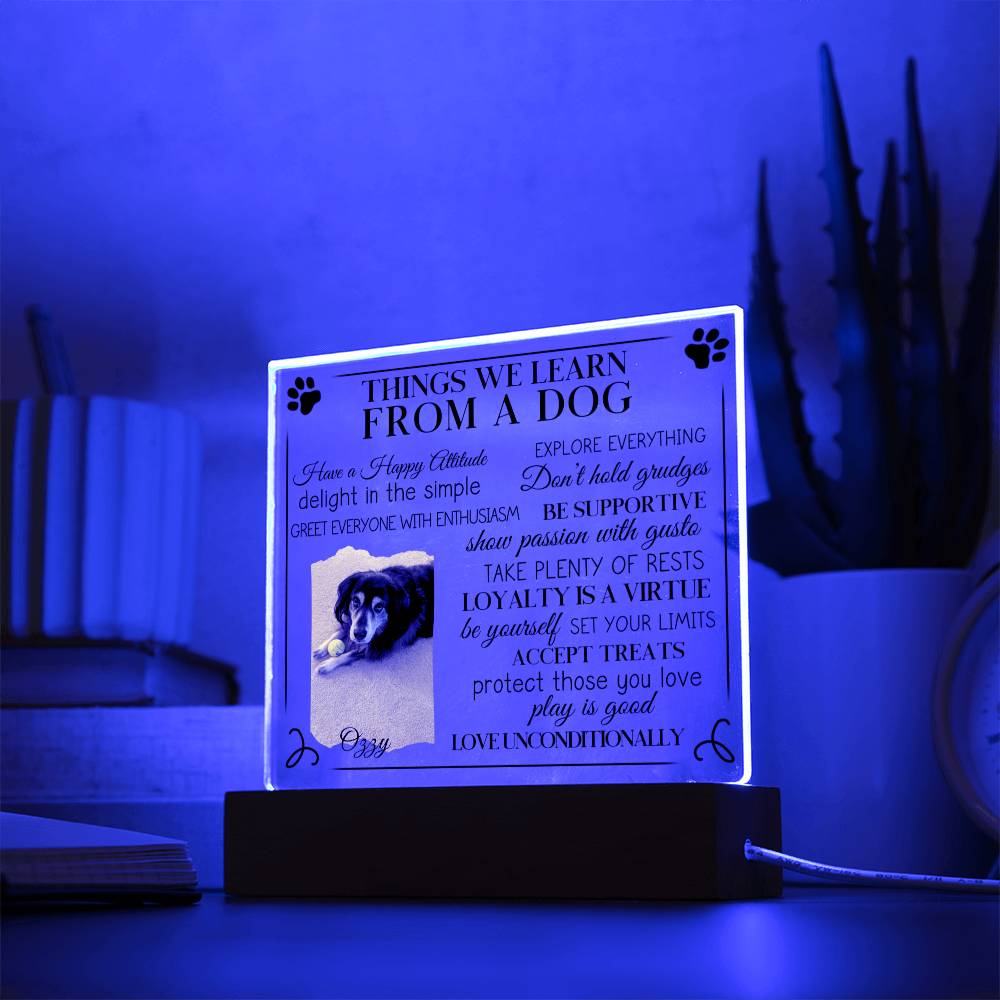 Things We Learn From A Dog - Personalized Photo Pet LED Plaque