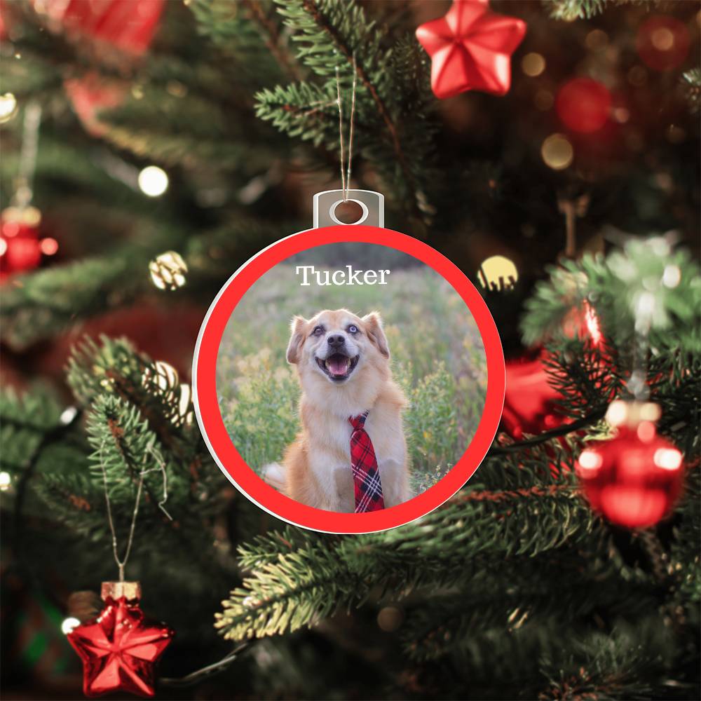 Personalized Dog or Cat Photo Christmas Ornament