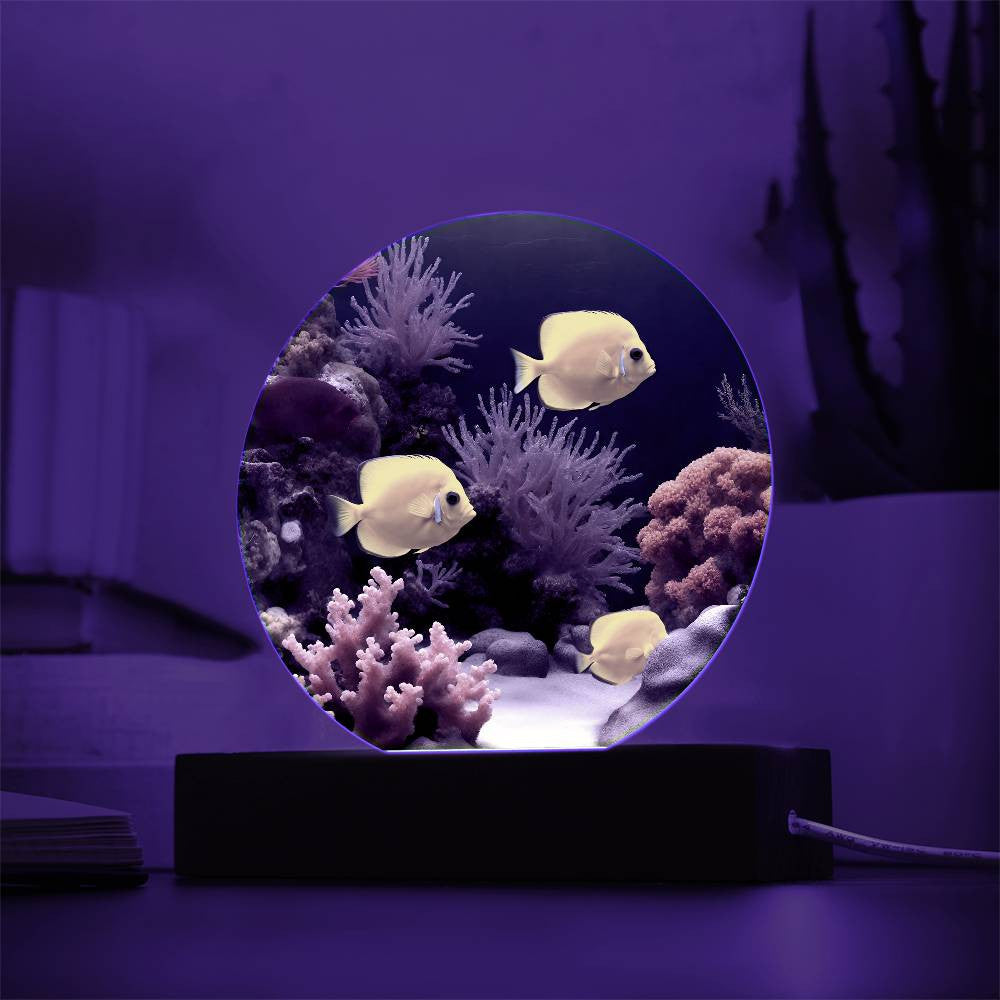 Fish Salt Water Aquarium Night Light