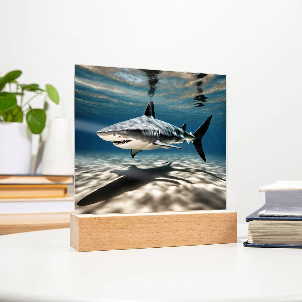 Shark Acrylic LED Plaque